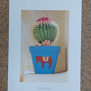 poster Universal Prints: Anne Geddes - Donkey Pot 30 x 40 cm