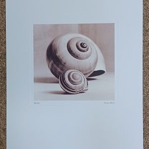 poster Universal Prints: Greame Harris - Spirality 40 x 50 cm