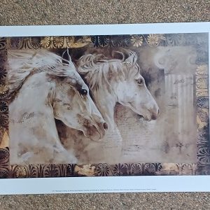 poster Universal Prints: Annrika James Mccavitt - Messenger of Spring 40 x 30 cm