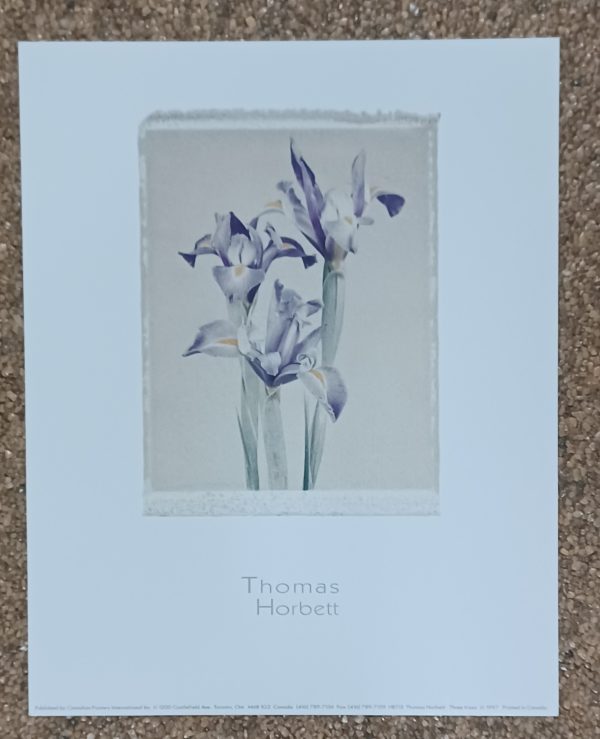 poster Eurographics Thomas Horbett - three Irises 24 x 30 cm