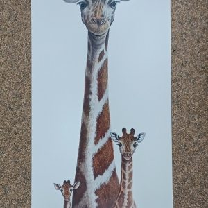 poster Image's Warwick Higgs - Higs Et Lows 70 x 30 cm