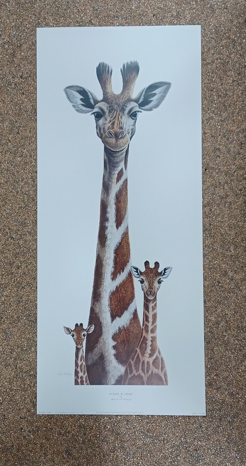 poster Image's Warwick Higgs - Higs Et Lows 30 x 70 cm