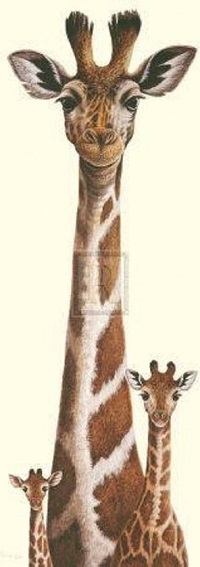 poster Image's Warwick Higgs - Higs Et Lows 30 x 70 cm - Afbeelding 2
