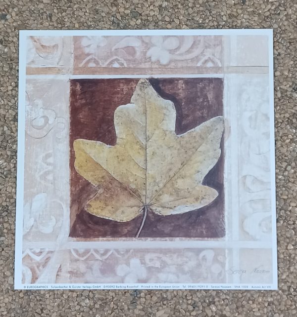 poster Eurographics Sereya Nazeem – Autum VIII 18 x 18 cm