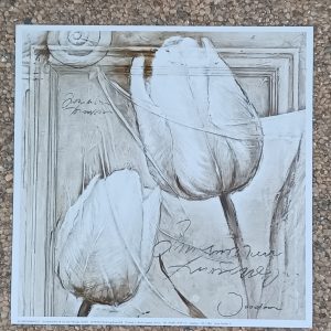 poster Eurographics Joadoor - How tender II 18 x 18 cm