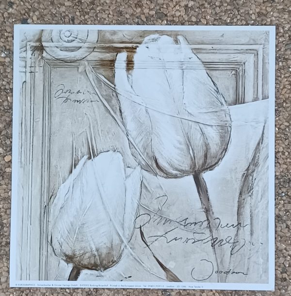poster Eurographics Joadoor - How tender II 18 x 18 cm