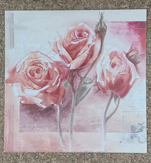 poster Eurographics Anna Gardner - Rosemary's Dream 30 x 30 cm