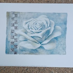 poster Eurographics Claudia Ancilotti - Silver Rose 30 x 24 cm
