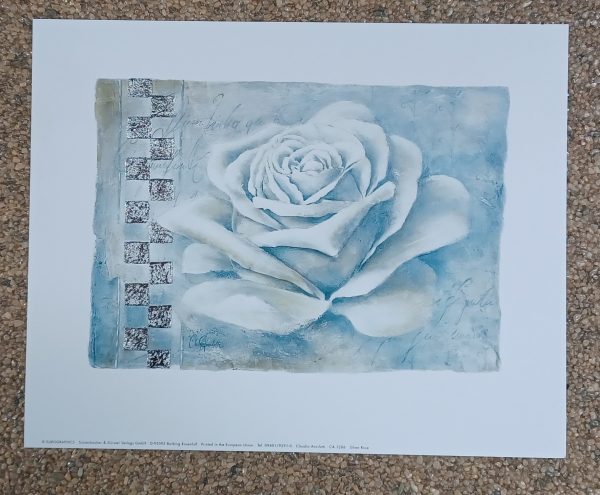poster Eurographics Claudia Ancilotti - Silver Rose 30 x 24 cm