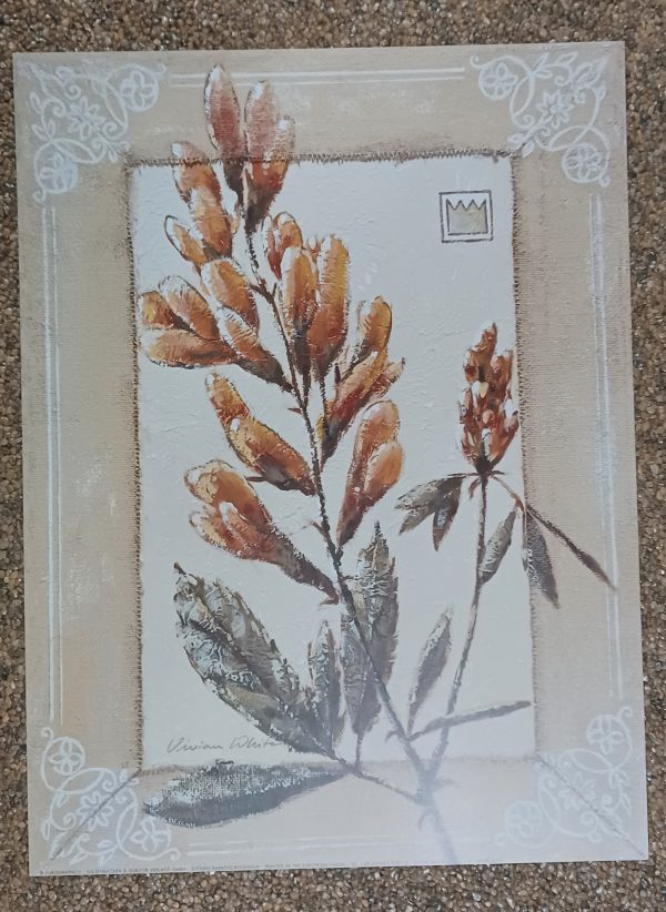 poster Eurographics Vivien White - Medicago 30 x 40 cm