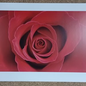 poster Eurographics Cassandra Power - Valencia 70 x 50 cm