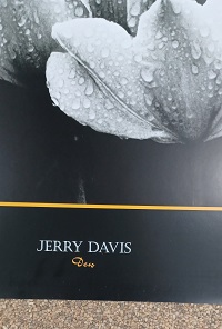 poster Ricordi Jerry Davis - Dew 80 x 60 cm - Afbeelding 2