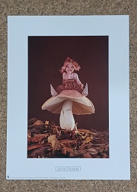 poster Ricordi Anne Geddes – Toadstool 30 x 40 cm(paddenstoel)