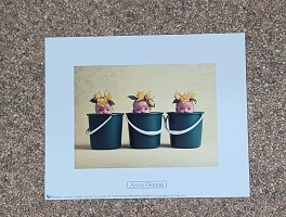 poster Ricordi Anne Geddes – Pool Party 25 x 20 cm